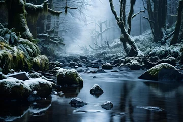 Tafelkleed Long exposure of a river flowing through a forest covered with snow. © Iman