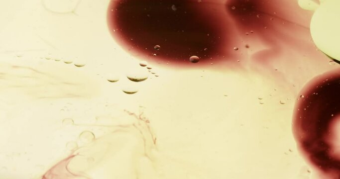 Immerse yourself in a world of swirling hues and dynamic motion with our abstract paint experiments that are truly hypnotic