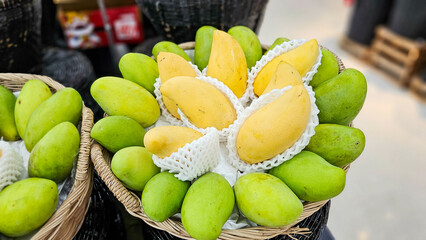 Pile of tropical fruit, Green Mango, Yellow mango (Ripe mango) in basket in a local market in...