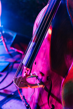 Double bass body in neon illumination during concert