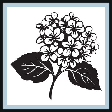black and white hydrangea flower art clip art preview