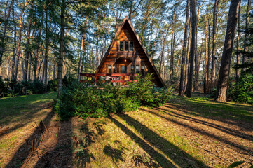 Wooden house in the forest. - 751218386