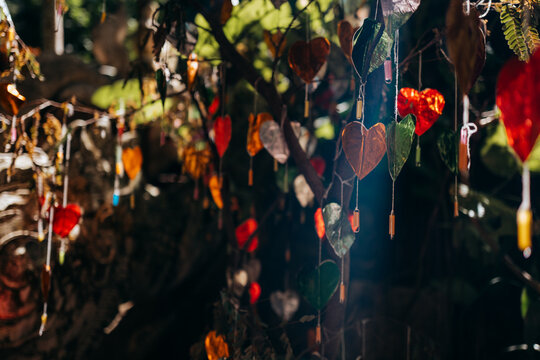 Coloured hearts hanging from a tree in the gardens of a Buddhis temple