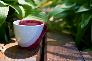 Teatime. tea coffee cup in greenery on a wood surface