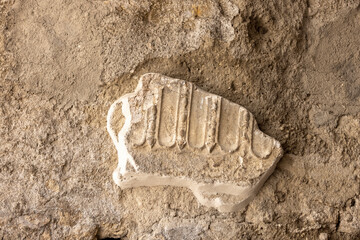 Piece of stone decoration in ruins of an ancient city destroyed by eruption of volcano Vesuvius,...
