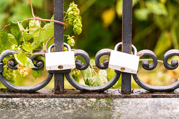 Locks on the bridge railings after the wedding ceremony. - 751221352
