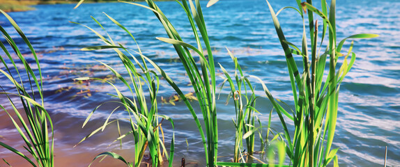 Water surface. The texture of the water. Waves on the lake in windy weather.