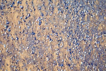 Sandy beach with shells. Sandy beaches, shells and rocks make the beach beautiful in nature.