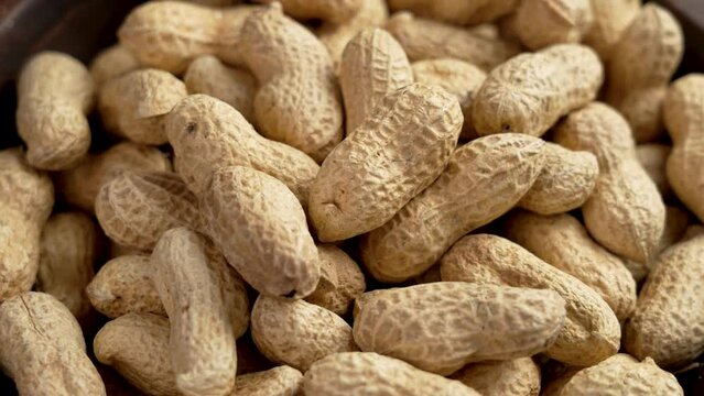 Organic peanuts in nutshell. Unpeeled roasted ecological groundnuts close up in full wooden bowl. Rotation