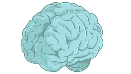 vector drawing of a brain without background