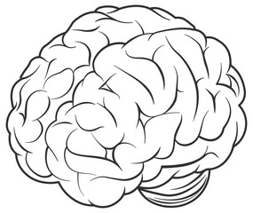 vector drawing of a brain without background