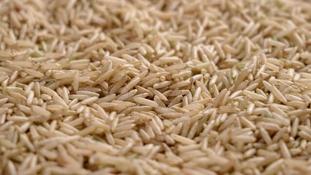 Heap of raw rough white Basmati rice close up. Unpolished uncooked seeds. Asian cuisine ingredient. Macro shot. Rotation