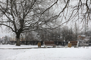 park bench on a winter alley at snowfall. bench with snow after snowstorm or in snow calamity in europe