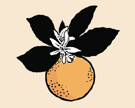 recommend clip art: vector illustration of fresh orange fruit
