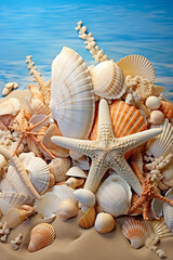 Fototapeta na wymiar Assorted Seashells and Starfish Arranged on Sand. Vertical