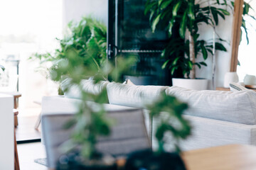 Abstract white and green home interior
