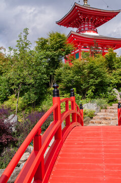 Japanese garden