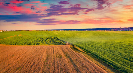 Combine harvester on the field of wheat. Astonishing summer view from flying drone of harvesting...
