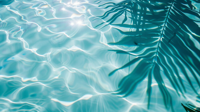 Transparent blue clear water surface texture with small ripples with blurry coconut palm leaf shadow, free space.