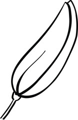 Luxury flower and logo. Trendy botanical element. Hand drawn line leave branch and blooming. Wedding elegant wildflower for invitation save the date card. Vector