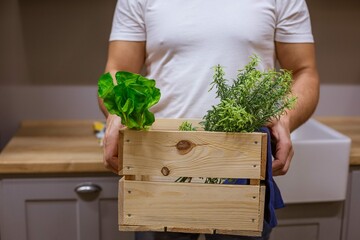 Man Holds Wooden Box With Greenery Without Face