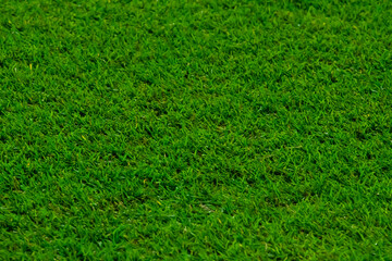 Close up soccer field lines. Background soccer pitch grass football stadium ground view. Stadium...