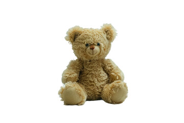 The Teddy Bear Companion Isolated On Transparent Background