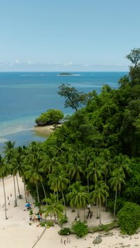 Hiyor-hiyoran Island with palm tree. Surigao del Sur. Mindanao, Philippines. Vertical view.