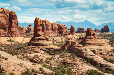 Fototapeta premium The Hoodoos of Arches National Park in Utah