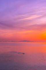 夕暮れ時の美しい海