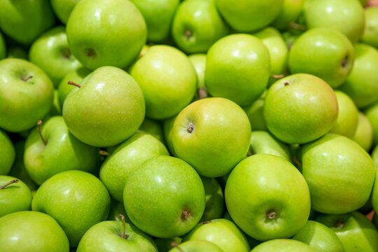 Green Fresh Apples As Background