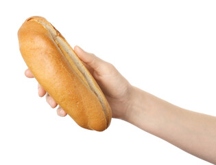 Woman with fresh hot dog bun on white background, closeup