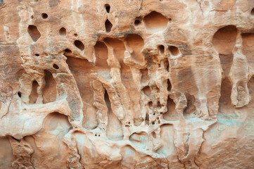 Arches National Park, in eastern Utah
