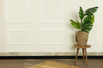 Plants and flowers are on the wooden coffee table in front of the wall. Home design, decoration.