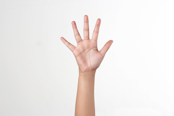 Raised hand showing number 5, isolated white background