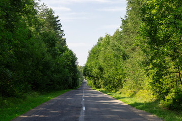 paved old road in the forest in summer