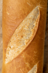 wheat soft bread for sandwiches