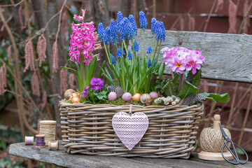pink Hyazinthe, Stielprimel, Hornveilchen und blaue Traubenhyazinthen in einem Korb im Garten