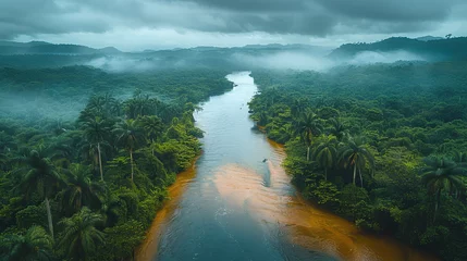 Fotobehang Top view of a large river that flows in the middle of a dense forest © Ruslan