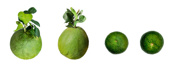 Fresh green Pomelo or Chinese grapefruit with leaves isolated on a transparent background,...