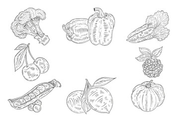 hand drawn vegetables set