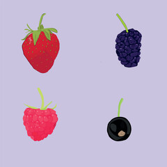 Set of cartoon berries on a purple background.For games posters magazine backgrounds.Strawberries mulberries currants raspberries.EPS 10.Vector illustration.