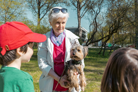 Positive mature woman walking in a park with two children and her toy