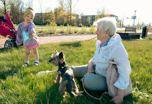 Elderly woman sitting on a grass with her g and small dog