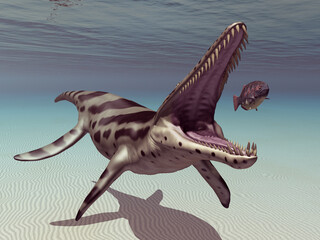 Pliosaurier Kronosaurus auf der Jagd - 751256714