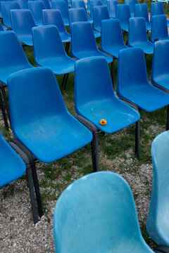Rows of blue chairs with orange apricot with a bite