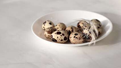 Brown spotted quail eggs on plate on white table background, organic healthy nutrition