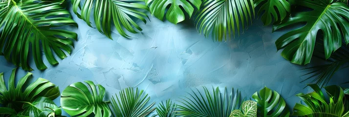 Schilderijen op glas Side View Green Tropical Palm Leaf, HD, Background Wallpaper, Desktop Wallpaper © Moon Art Pic