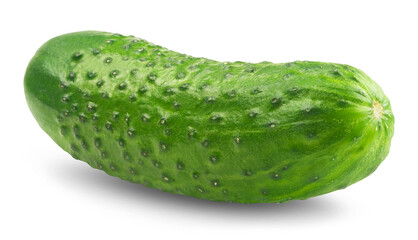 Fresh cucumber isolated on transparent background.