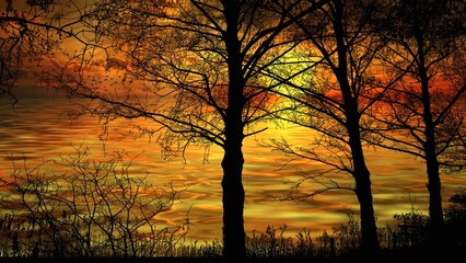 A fiery sunset paints the sky through the silhouettes of trees, creating a breathtaking and vibrant...